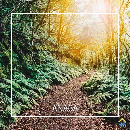 Mesa Del Mar Sunset Dream Vacational