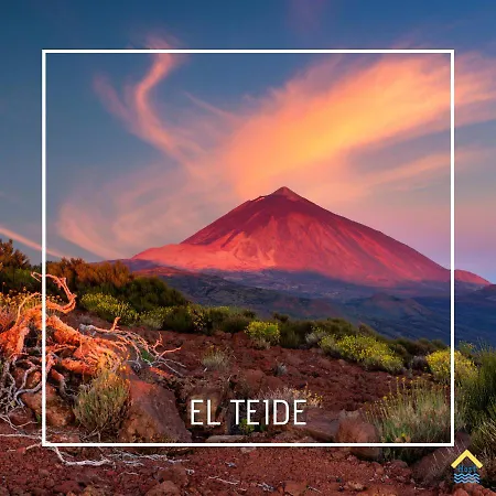 Mesa Del Mar Sunset Dream Vacational Apartament