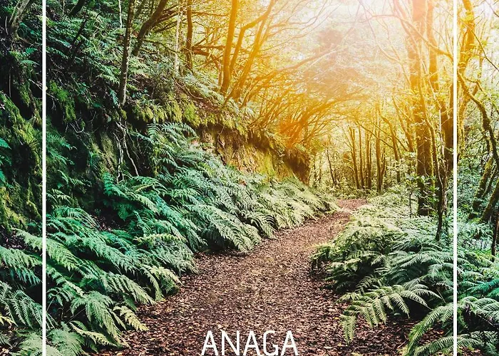 Mesa Del Mar Sunset Dream Vacational