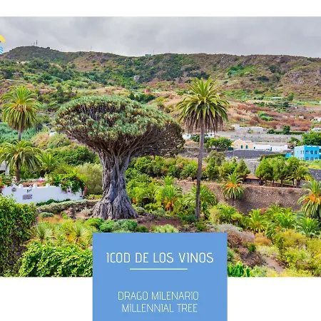 Mesa Del Mar Sunset Dream Vacational شقة Puerto de la Madera