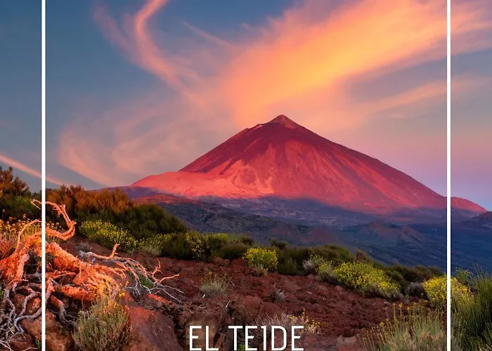 Mesa Del Mar Sunset Dream Vacational شقة