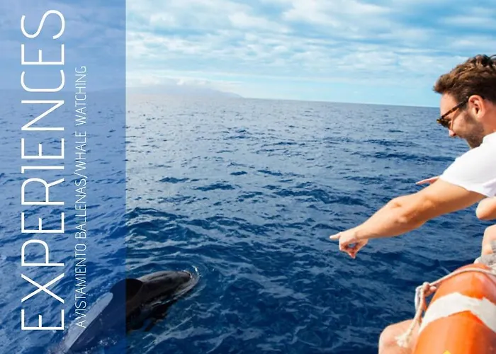 شقة Mesa Del Mar Sunset Dream Vacational